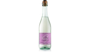 Фото - San Mare Lambrusco dell`Emilia Bianco (д - Пиццбург